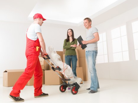 Professional Kingston moving service with loading assistance